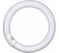 Люминесцентная лампа L 22W/840 C G10Q OSRAM 4008321581082