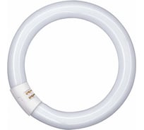 Лампа люминесцентная L 32W/840 C G10Q OSRAM 4008321581143