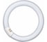 Лампа люминесцентная L 32W/840 C G10Q OSRAM 4008321581143 1
