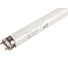 Линейная люминесцентная лампа Osram BASIC T8 36Вт 6500К G13 4008321959836 2