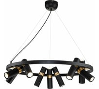 Подвесная люстра FAVOURITE light point 2997-9P
