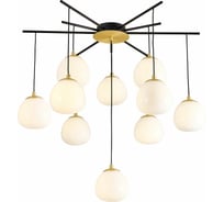 Потолочная люстра FAVOURITE paramount 3047-10P