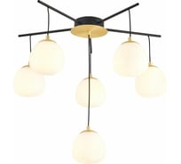 Потолочная люстра FAVOURITE paramount 3047-6P