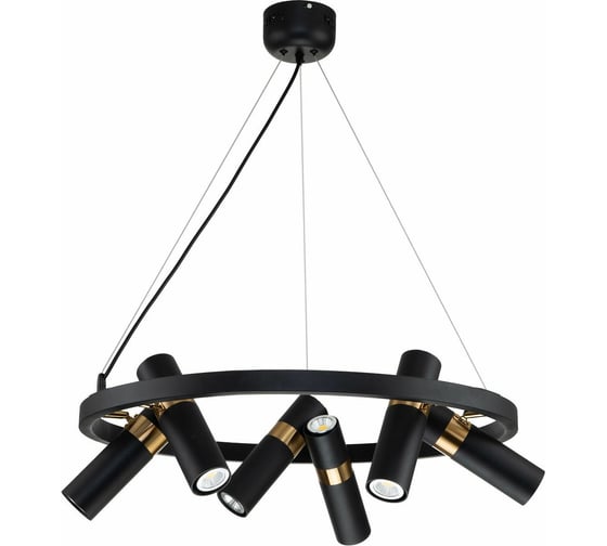 Подвесная люстра FAVOURITE light point 2997-6P