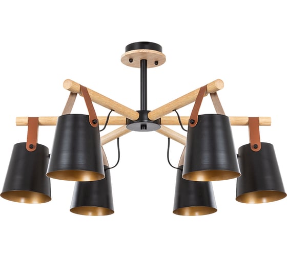 Потолочная люстра ARTE LAMP THOMAS A7032PL-6BK 1