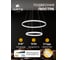 Подвесная люстра ARTE LAMP MERIDIANA A2198SP-2WH 6