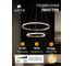 Подвесная люстра ARTE LAMP MERIDIANA A2198SP-2GO 4