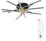 Потолочная люстра ARTE LAMP FERNANDO A2199PL-6BK 2