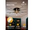 Потолочная люстра ARTE LAMP FERNANDO A2199PL-6BK 6