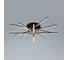 Потолочная люстра ARTE LAMP FERNANDO A2199PL-6BK 1