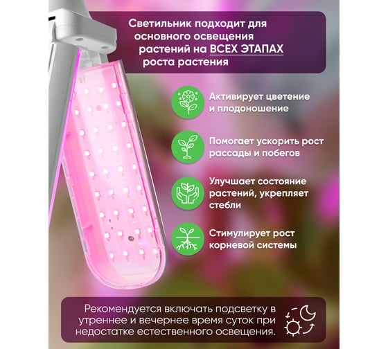 Светодиодная лампа FERON 2-х лепестковая LB-7000 E27 20W красно-синий спектр, 48443