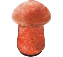 Солевая лампа Beroma гриб 2 07716141