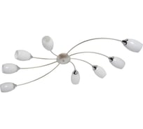 Люстра MW LIGHT Олимпия 8*60W E14 220 V 638016708