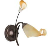 Бра MW LIGHT Восторг 1*60W E14 220 V 242027101