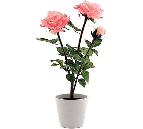 Декоративный светильник СТАРТ LED роза3 розовый