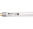 Люминесцентная линейная двухцокольная лампа TDM ELECTRIC ЛЛ-16/13 Вт T5 6500 К SQ0355-0020 4