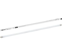 Люминесцентная линейная двухцокольная лампа TDM ELECTRIC ЛЛ-16/21Вт T5 6500 К SQ0355-0022