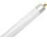 Люминесцентная линейная двухцокольная лампа TDM ELECTRIC ЛЛ-16/28Вт T5 4000 К SQ0355-0023 3