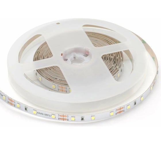 Светодиодная лента APEYRON 12В, 13Вт/м, smd5630 5м, холодный белый 67