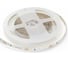 Светодиодная лента APEYRON 12В, 13Вт/м, smd5630 5м, холодный белый 67 3