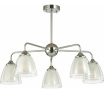 Потолочная люстра LUMION E14 5*60W TOBY 5289_5C