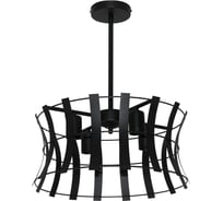 Потолочный светильник ЭЛЕТЕХ Викинг 141 черн.муар НПБ 01-4x60-128 Е27 ИМ 1005405098