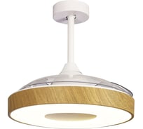 Потолочная люстра-вентилятор MANTRA coin fan 8217