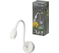 Светильник настенный светодиодный белый, с выключателем, 3 Вт, COB, 270 лм, 4000 К, IP20, "Эрика" TDM ELECTRIC SQ0358-0382