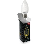 Энергосберегающая лампа Gauss Candle 9W 2700K E27 242109