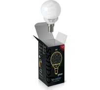 Энергосберегающая лампа Gauss Globe 9W 2700K E14 231109