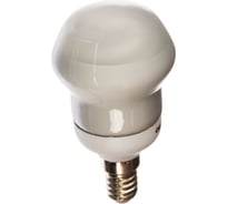 Энергосберегающая лампа Gauss R50 9W 4200K E14 131209
