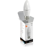 Светодиодная лампа Gauss LED Elementary Candle 6W E27 2700K LD33216