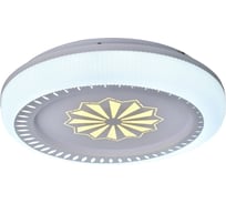 Настенно-потолочный светильник Мелодия Света 1219-480 100W WT 000026182