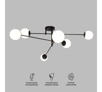Потолочный светильник Eurosvet 30181/6 черный a062214