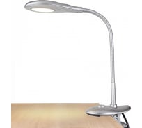 Лампа Elektrostandard Captor silver TL90300 a038017