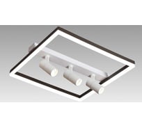 Настенно-потолочный светильник Мелодия Света CW4271-3 57W WT+BK 000031058