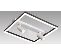 Настенно-потолочный светильник Мелодия Света CW6405-2 38W WT+BK 000031055