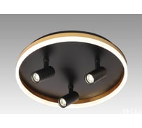 Настенно-потолочный светильник Мелодия Света CW8480-3 51W BK+GD 000031054