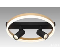 Настенно-потолочный светильник Мелодия Света CW8953-2 38W BK+GD 000031053