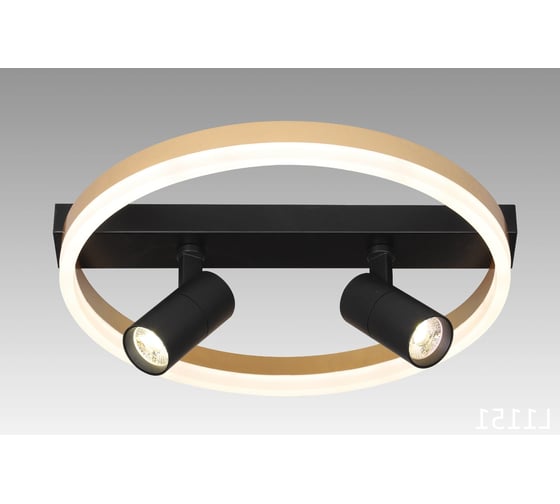 Настенно-потолочный светильник Мелодия Света CW8953-2 38W BK+GD 000031053 1