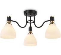 Потолочная люстра Ambrella Light TRADITIONAL TR303303