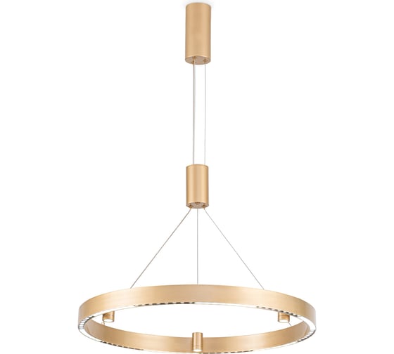 Подвесной светильник Ambrella Light COMFORT FL5846