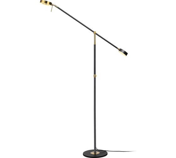 Напольный светильник ODEON LIGHT LED 1*20W DENZEL 4321_20FL