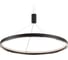 Подвесной светильник Ambrella Light COMFORT FL5856 1