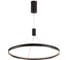 Подвесной светильник Ambrella Light COMFORT FL5856 2
