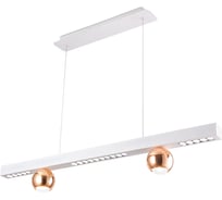 Подвесной светильник Ambrella Light COMFORT FL5955