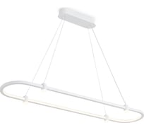 Подвесной светильник Ambrella Light COMFORT FL5588