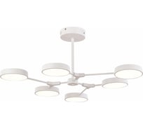 Люстра на штанге Evoluce MONTA SLE6003-502-06