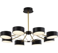 Люстра на штанге Evoluce VALLE SLE6005-402-08