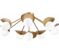 Потолочная люстра Evoluce BOLZANO SLE220502-08